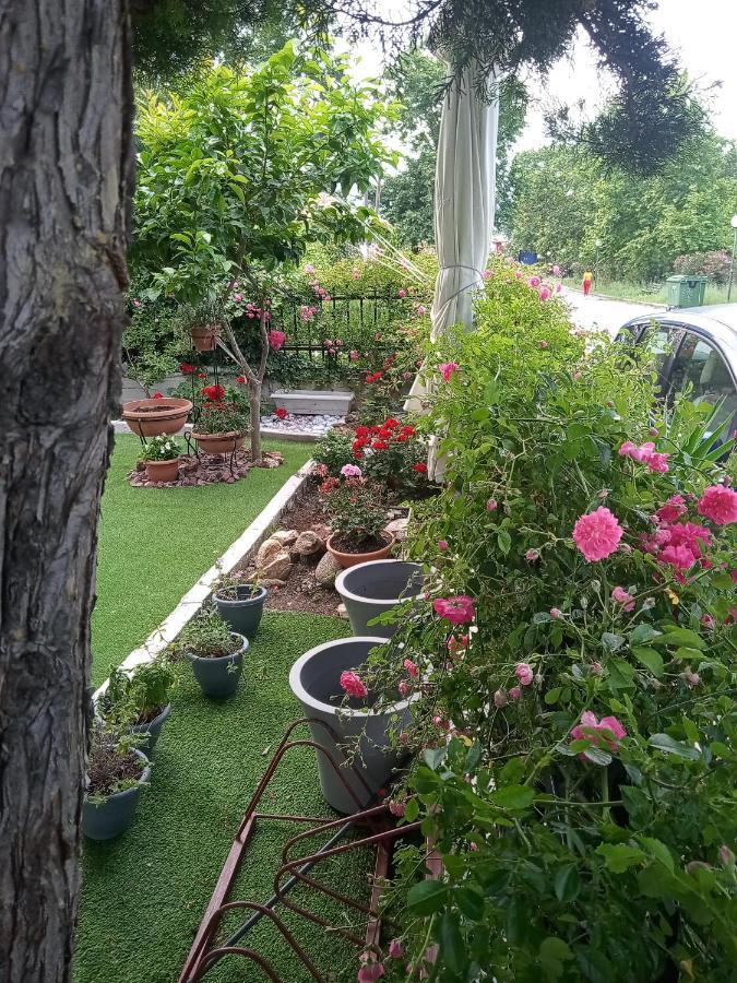 Apartment Niki Stavros Comfort Stavros (Thessaloniki)